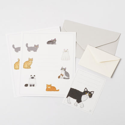 Letter set 2 types - Cat