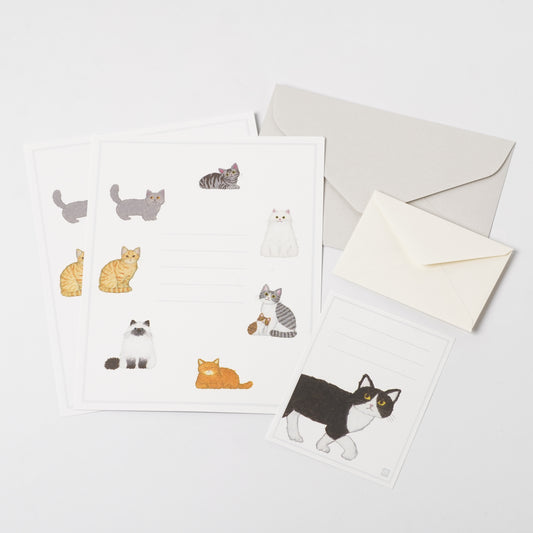 Letter set 2 types - Cat