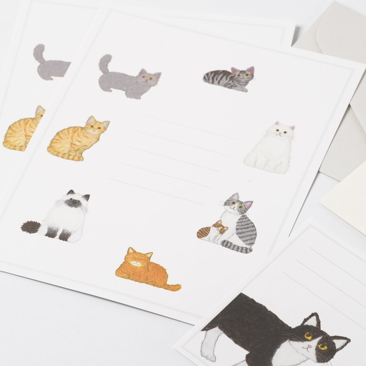Letter set 2 types - Cat