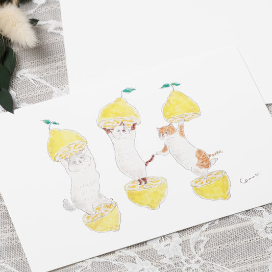 Tocoro Comugi Postcard – Cute Cats and Dreamy Scenes Lemon Cats