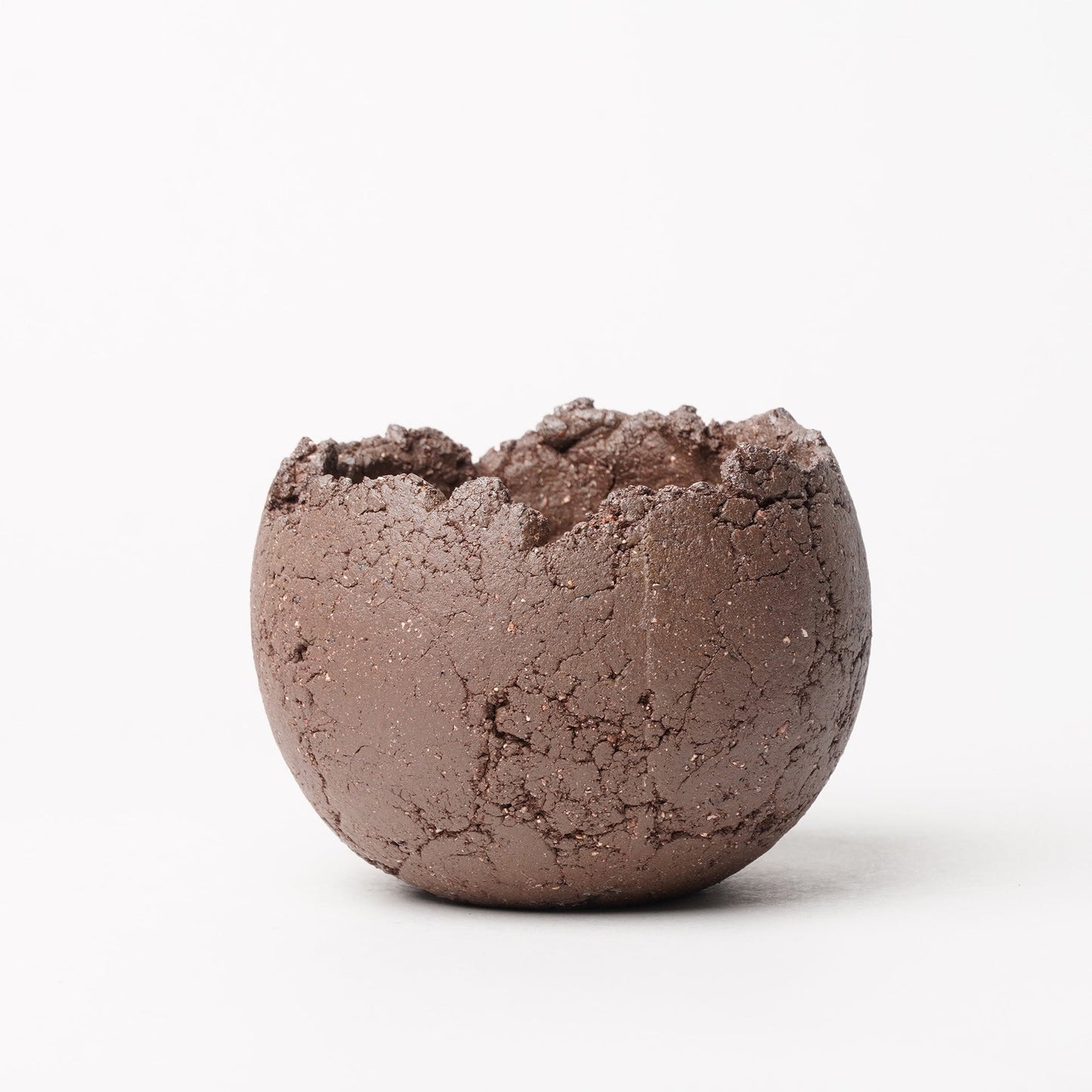 Shota Miyashita Plant Pot