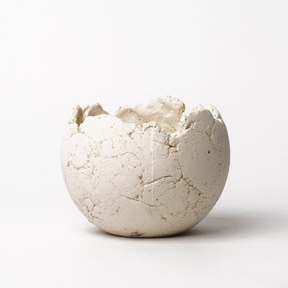 Shota Miyashita Plant Pot