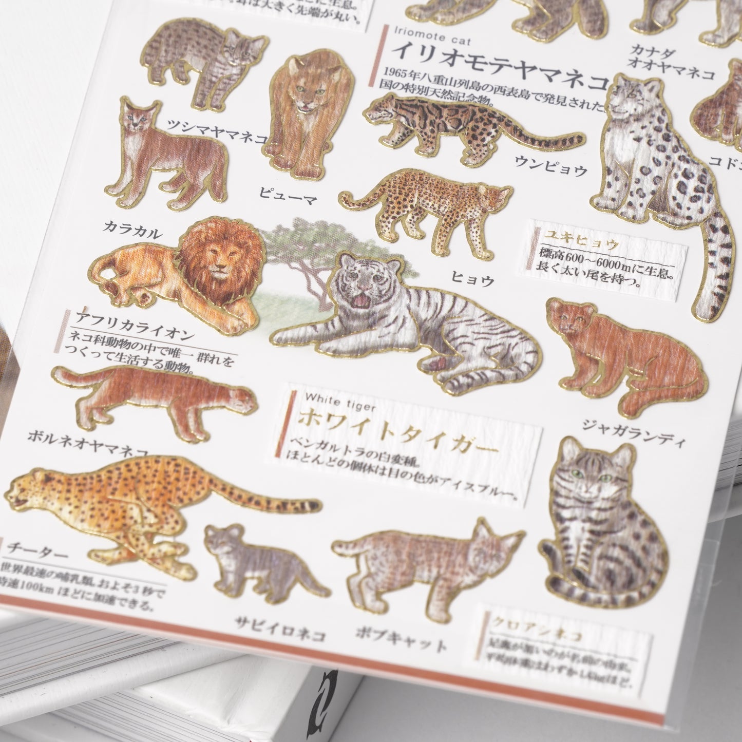 Otona Sticker Series Feline Animals - Encyclopedia for Grown-Ups