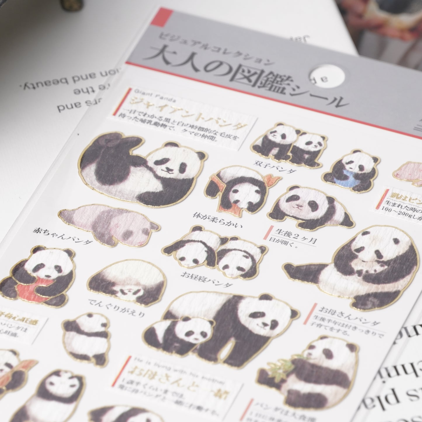 Otona Sticker Series Panda Ecology - Encyclopedia for Grown-Ups