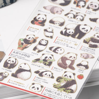 Otona Sticker Series Panda Ecology - Encyclopedia for Grown-Ups