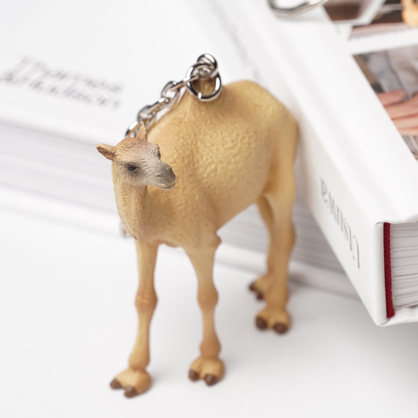 Science & Nature Animal Keyring - Camel