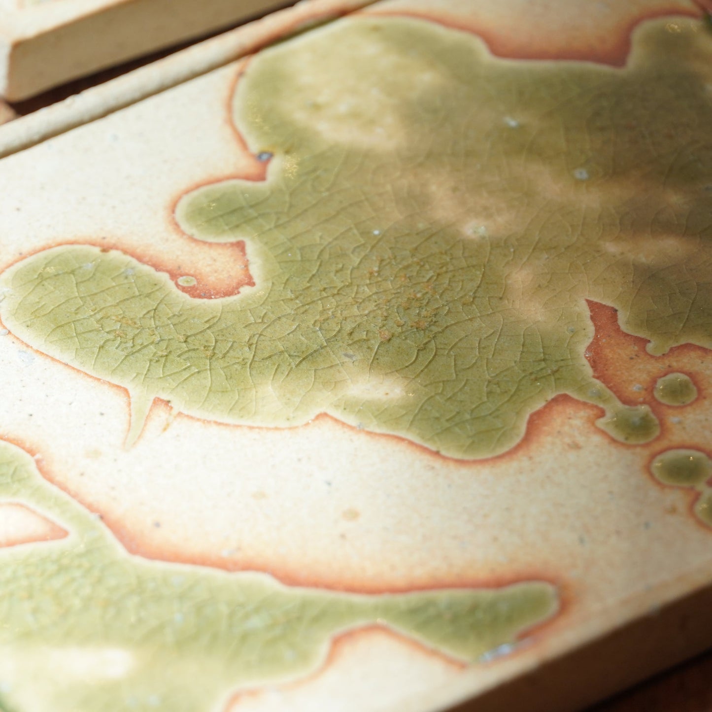 Shigarakiyaki Rectangle Flat Dinner Plate