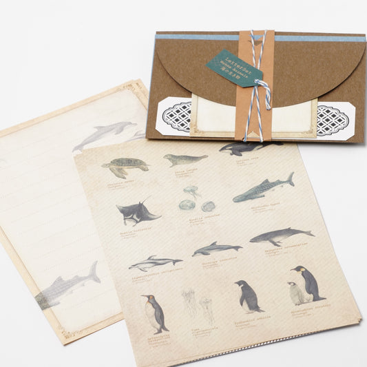 Encyclopedia-Style Letter Set – Ocean Animals