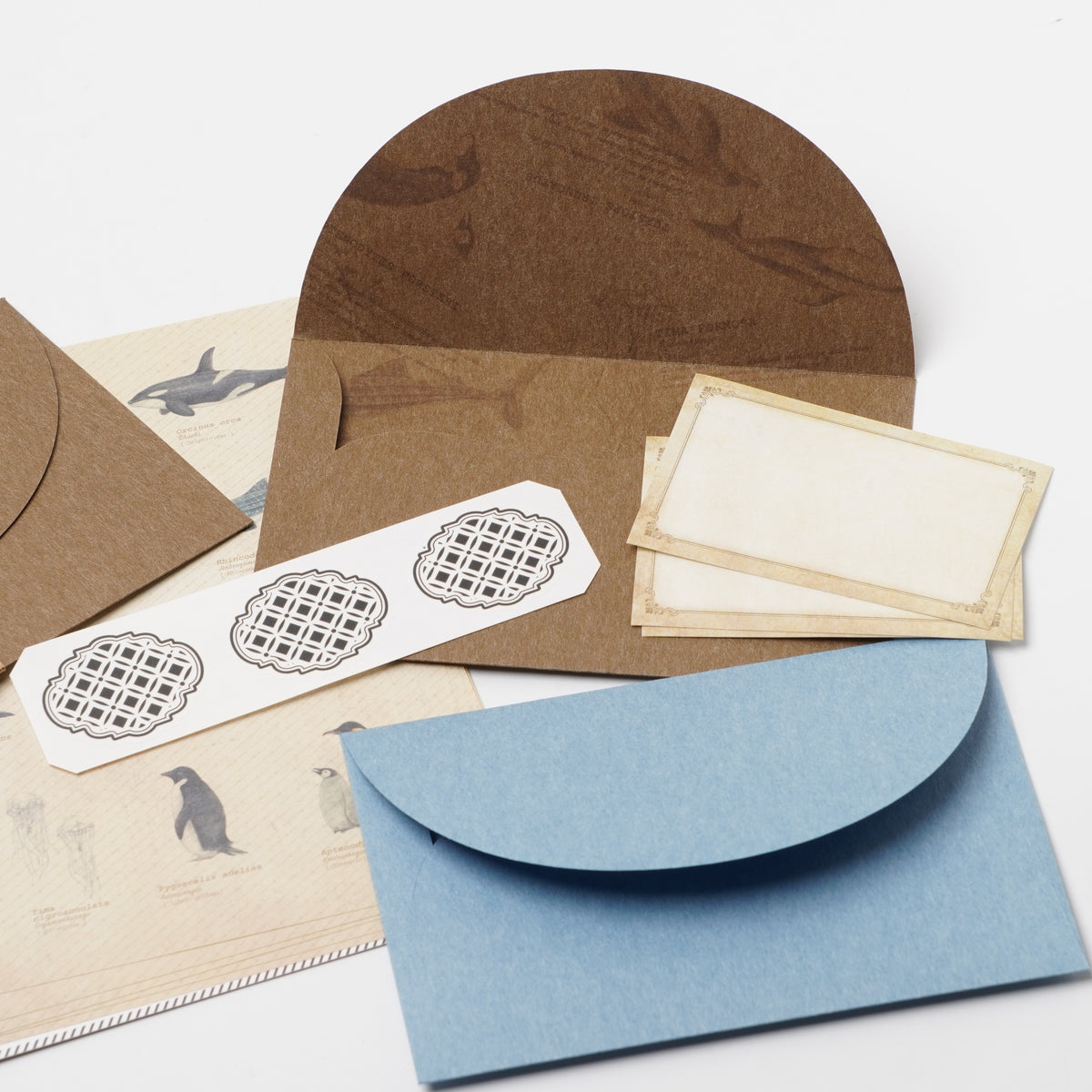 Encyclopedia-Style Letter Set – Ocean Animals