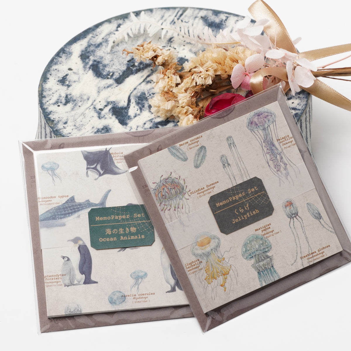 Marine Life Memo Paper Set with Case – Ocean Animal