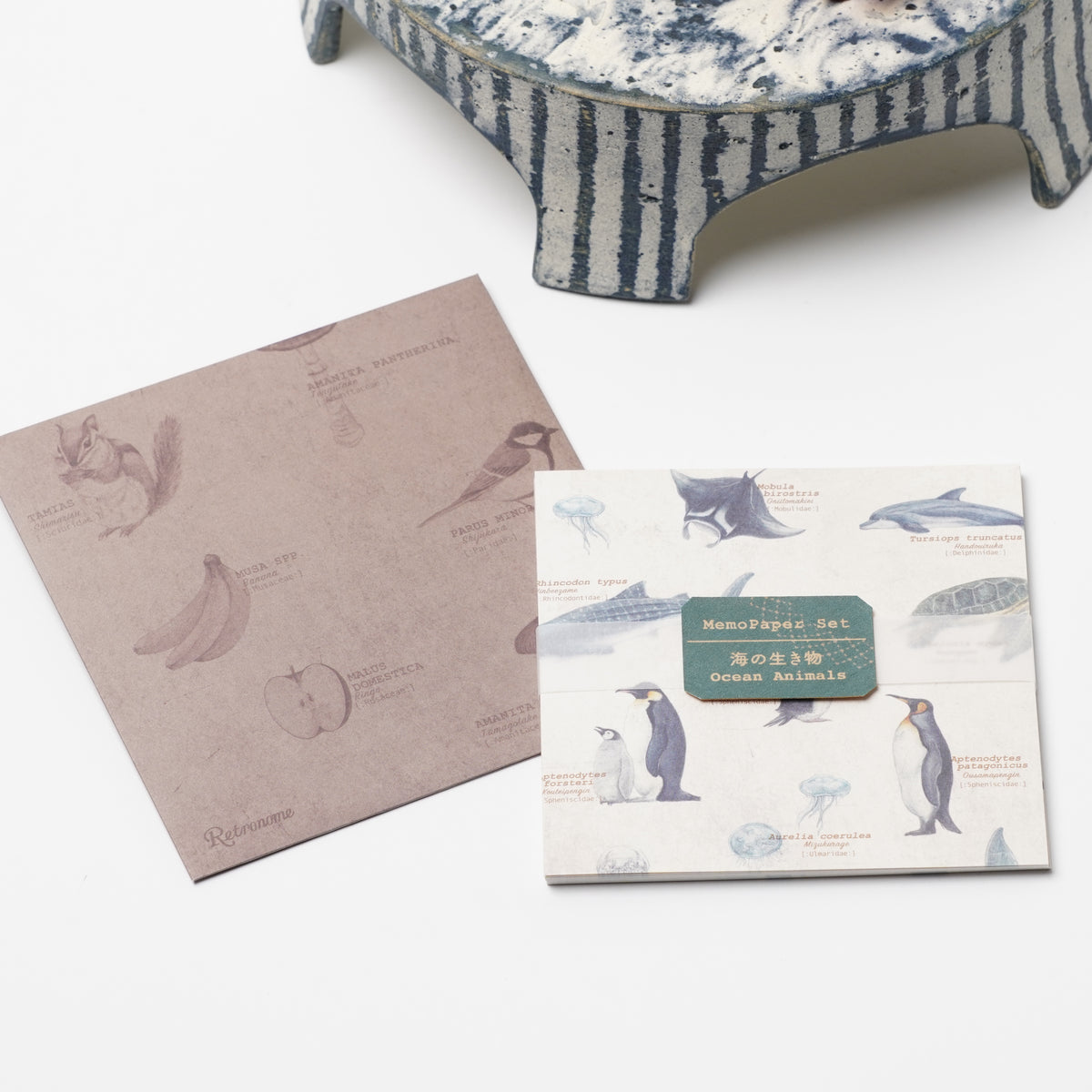 Marine Life Memo Paper Set with Case – Ocean Animal