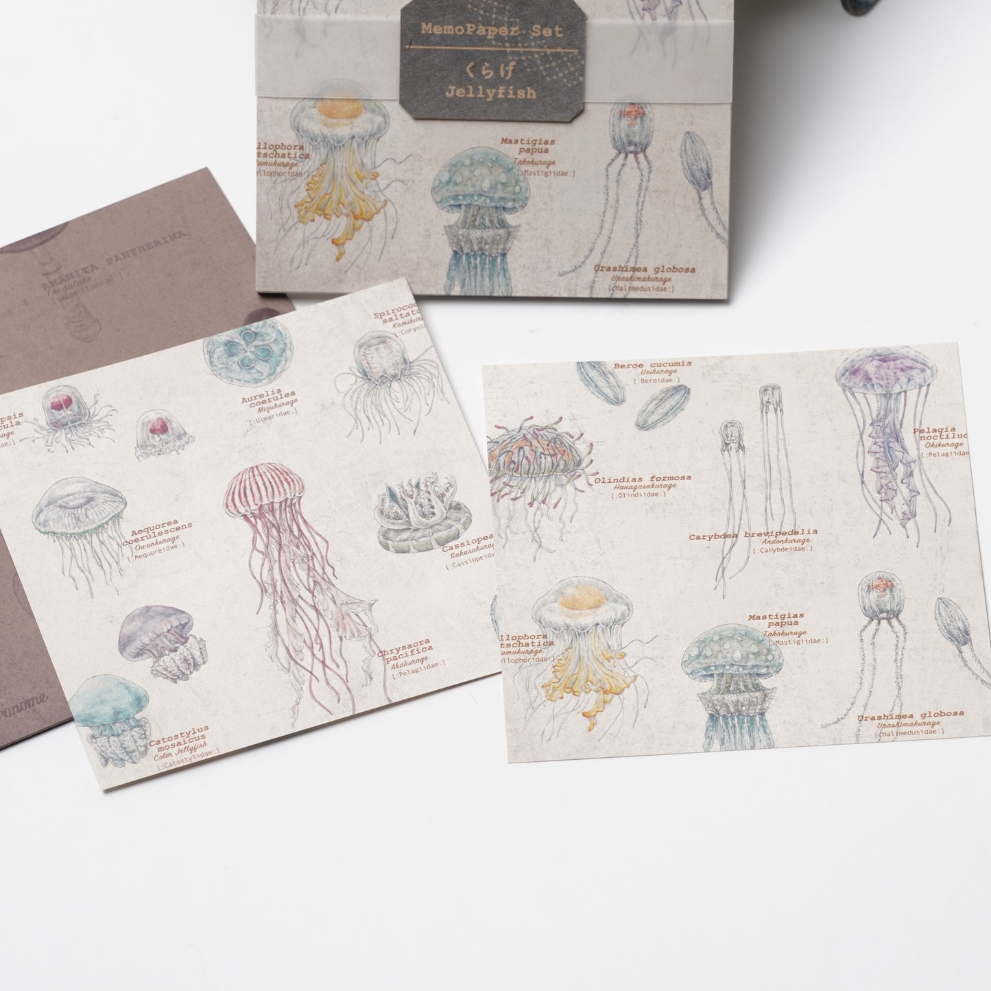 Memo Paper Set with Case – Jellyfish