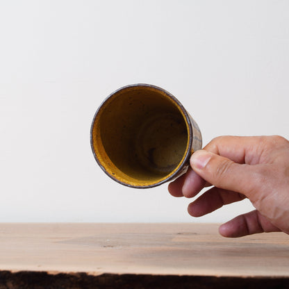 Toshinobu Araya Ryukakugama Mug