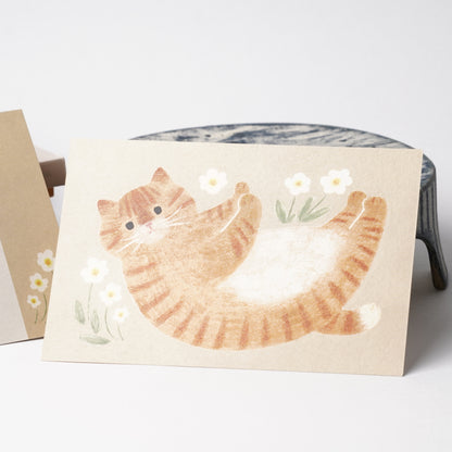 4legs Tabby Cat Postcard