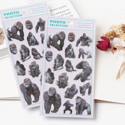 Gorilla Photo Selection Sticker Sheet