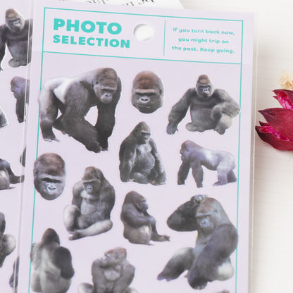 Gorilla Photo Selection Sticker Sheet