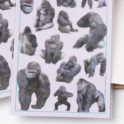 Gorilla Photo Selection Sticker Sheet