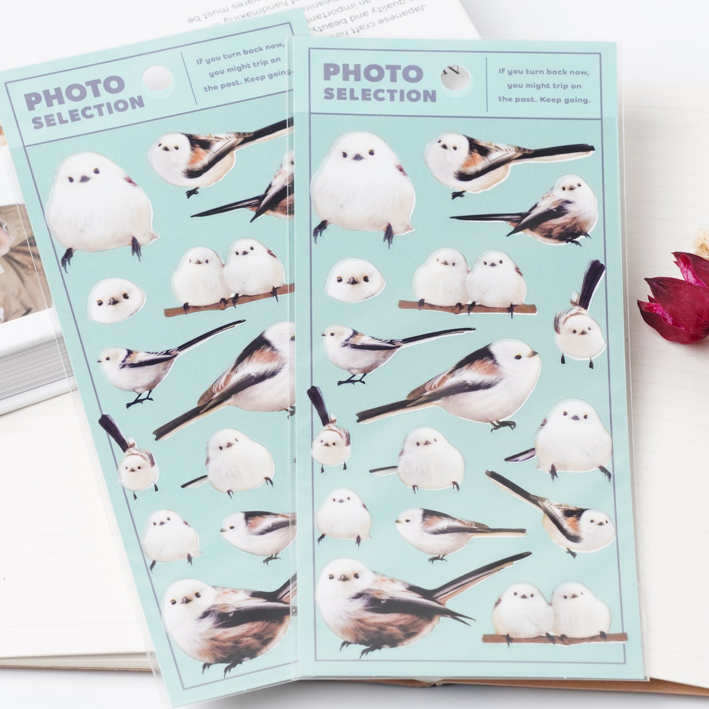 Shimaenaga Photo Selection Sticker Sheet