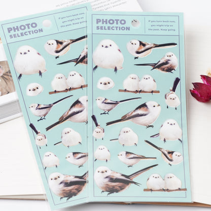 Shimaenaga Photo Selection Sticker Sheet