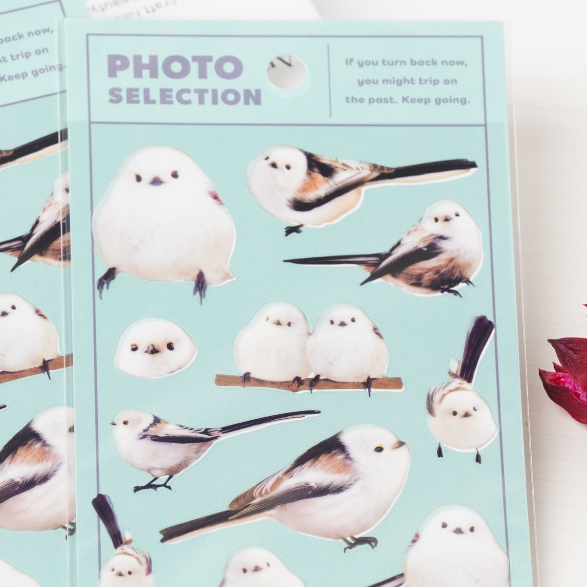 Shimaenaga Photo Selection Sticker Sheet