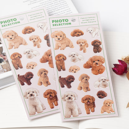 Toy Poodle Photo Selection Sticker Sheet