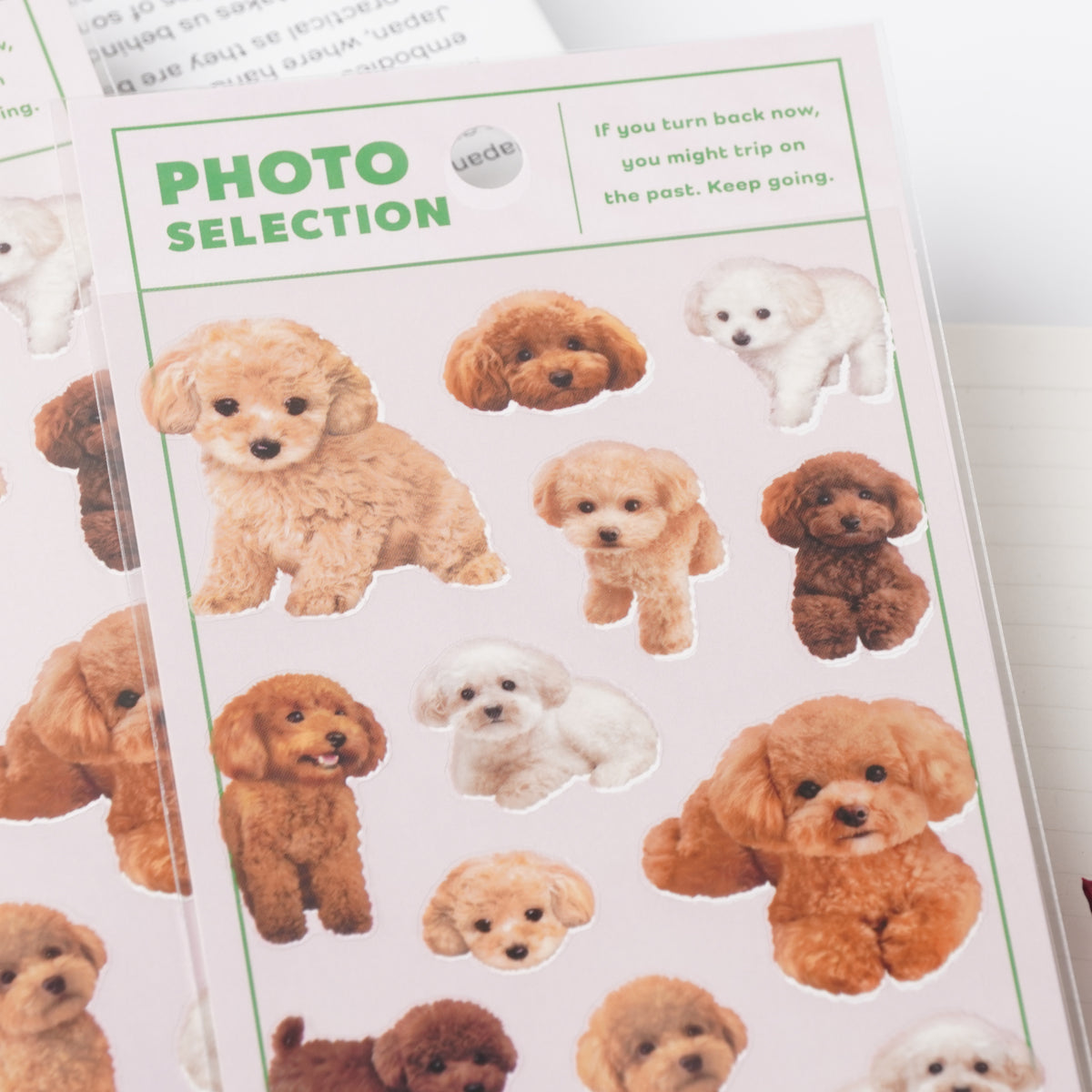 Toy Poodle Photo Selection Sticker Sheet