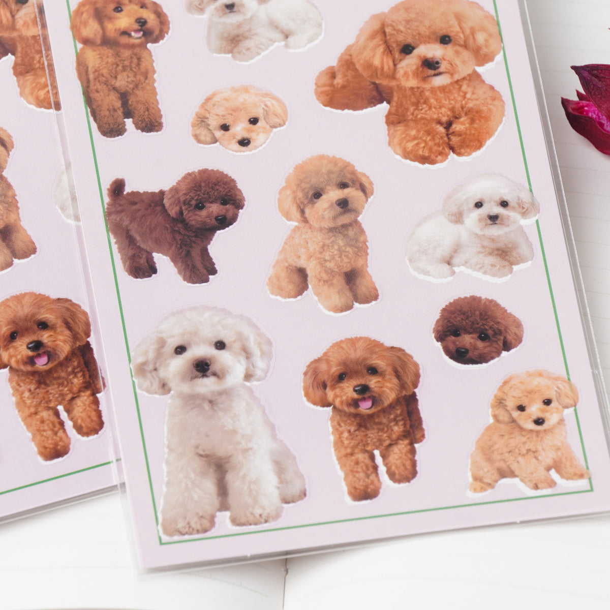 Toy Poodle Photo Selection Sticker Sheet