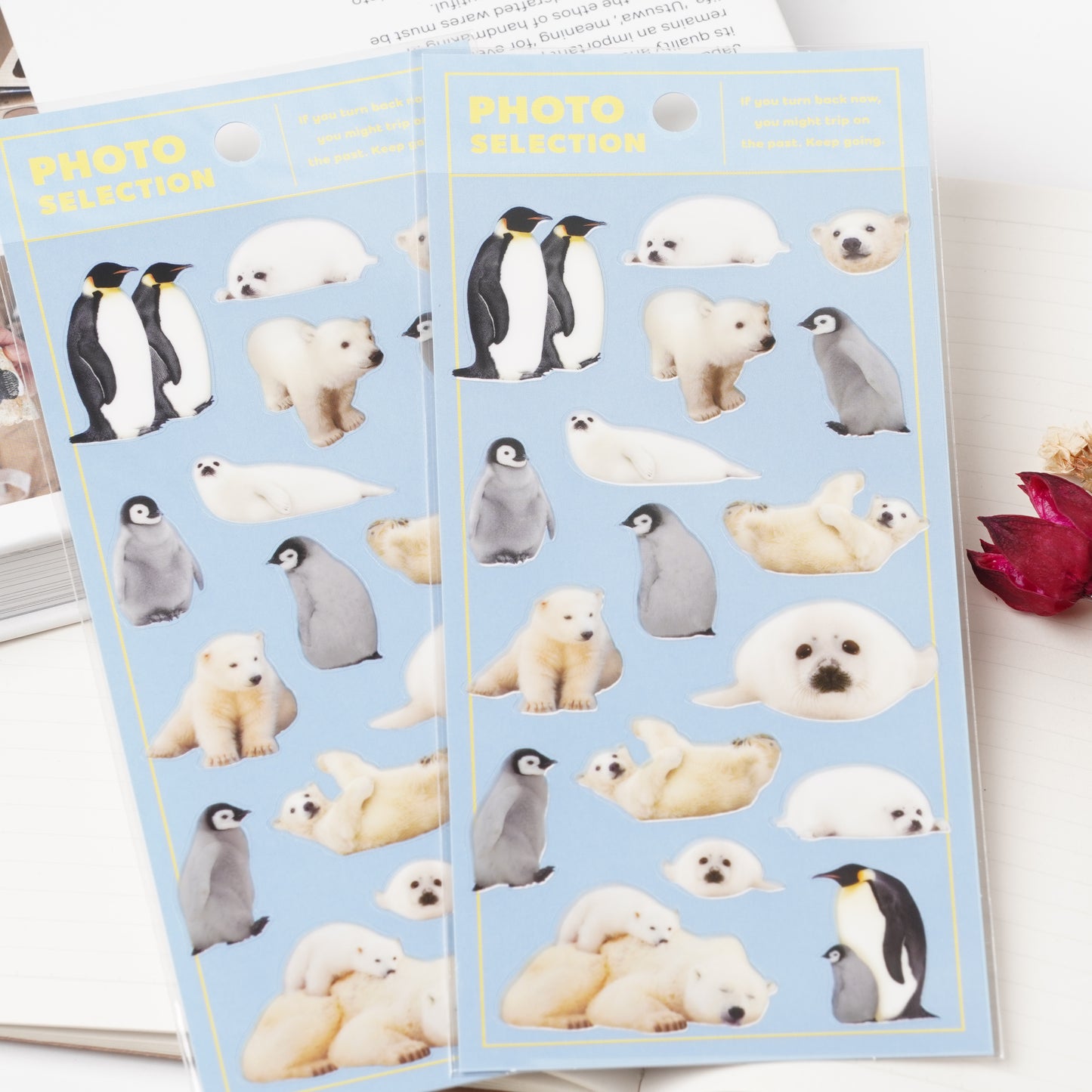 Cold Climate Animals Photo Sticker Sheet