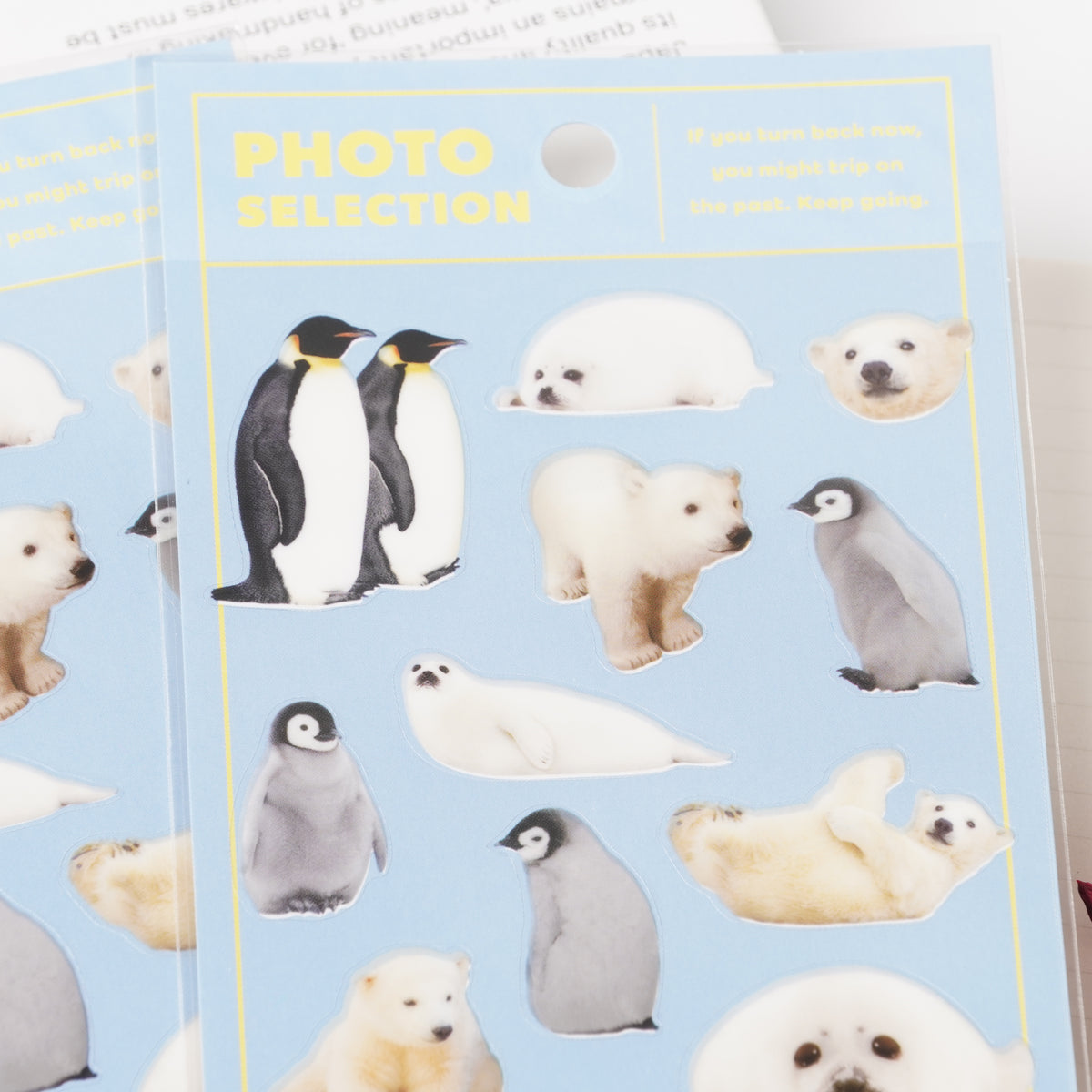 Cold Climate Animals Photo Sticker Sheet