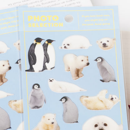 Cold Climate Animals Photo Sticker Sheet