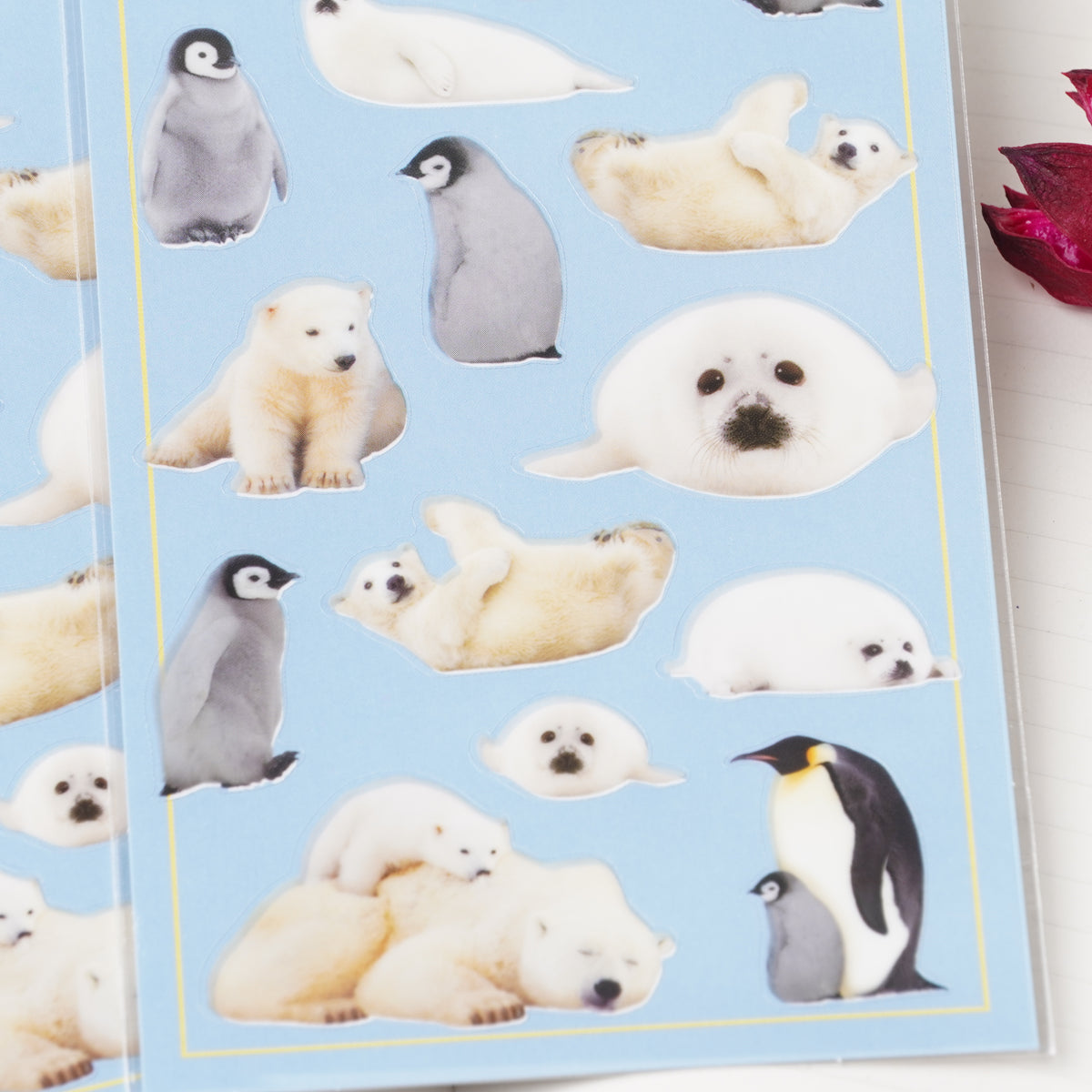 Cold Climate Animals Photo Sticker Sheet