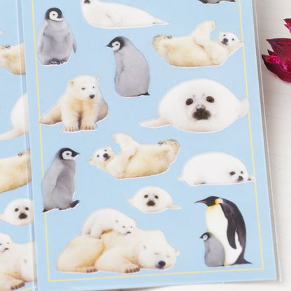 Cold Climate Animals Photo Sticker Sheet