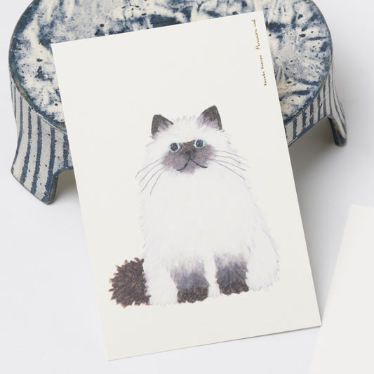 Yusuke Yonezu Postcard - Persian Cat