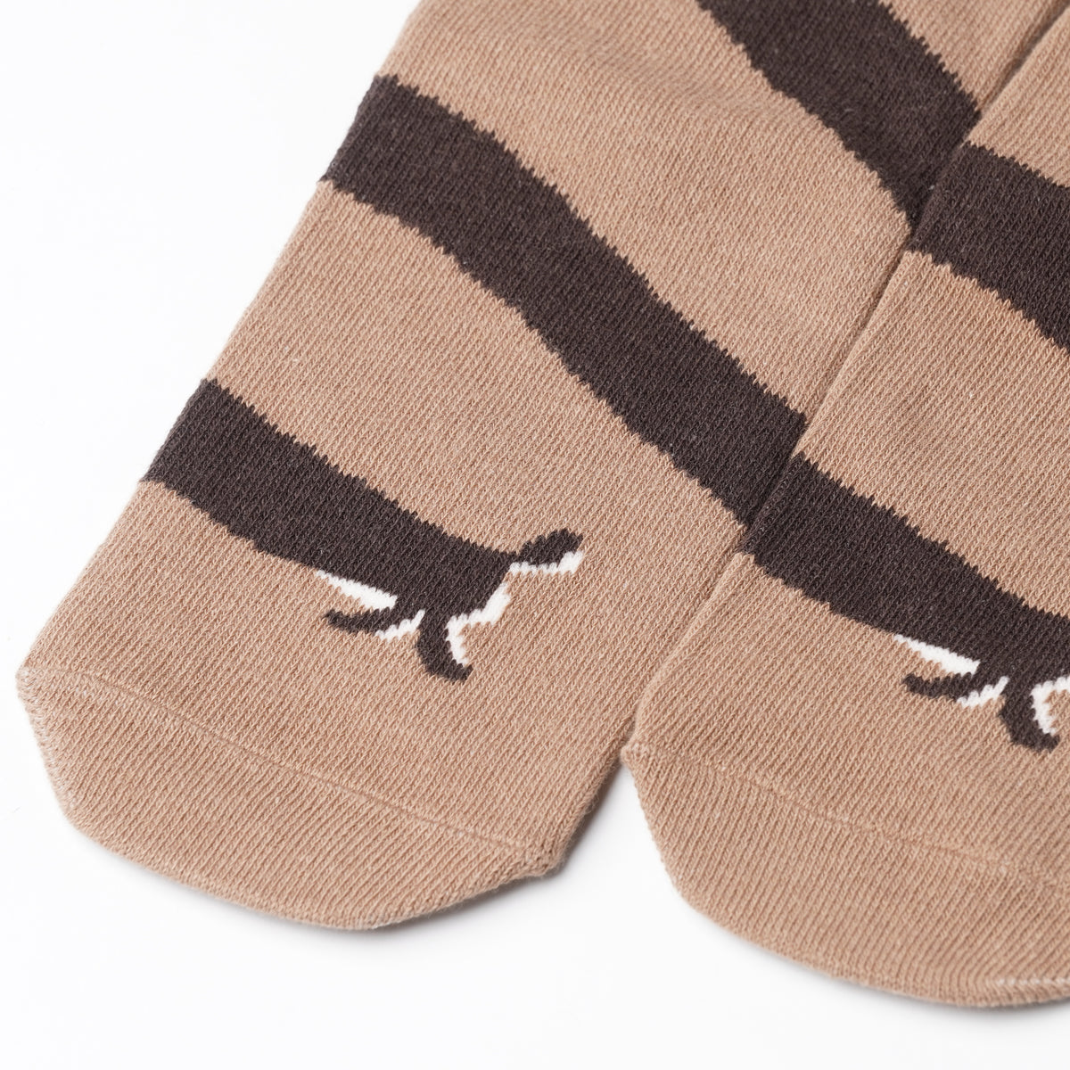 Kusetsuyo Mejirooshi Socks – Mocha Dachshund