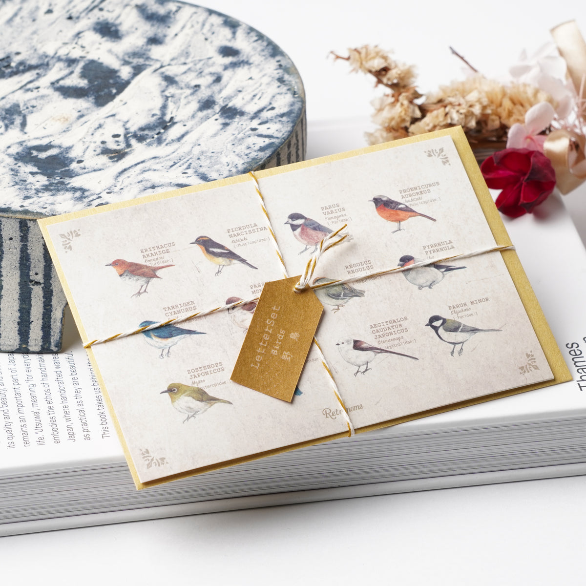 Illustrated Book-Style Letter Set – Wild Birds