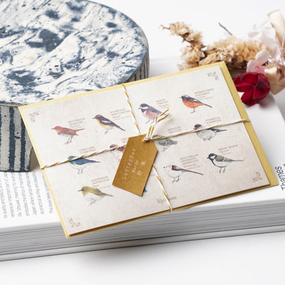 Illustrated Book-Style Letter Set – Wild Birds