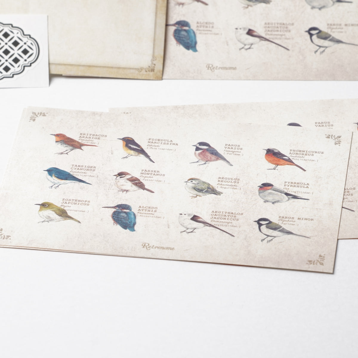 Illustrated Book-Style Letter Set – Wild Birds