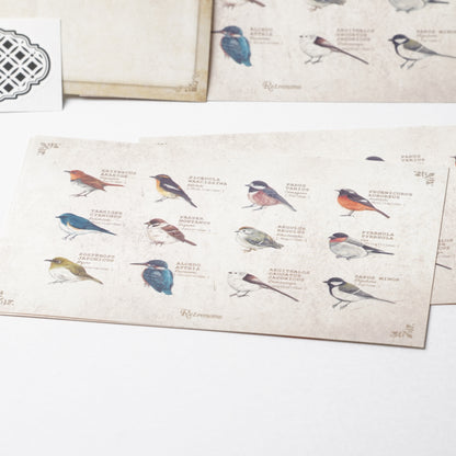 Illustrated Book-Style Letter Set – Wild Birds