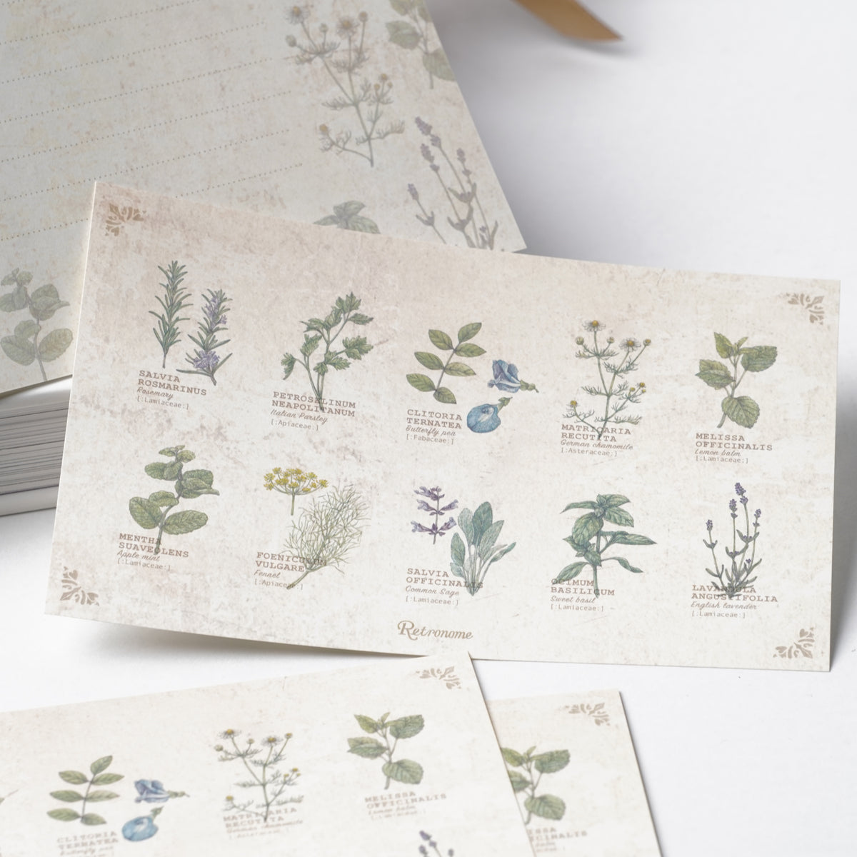Illustrated Book-Style Letter Set – Herbs
