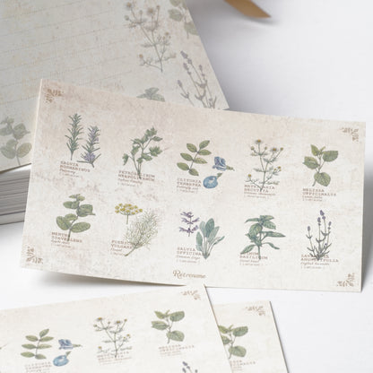 Illustrated Book-Style Letter Set – Herbs