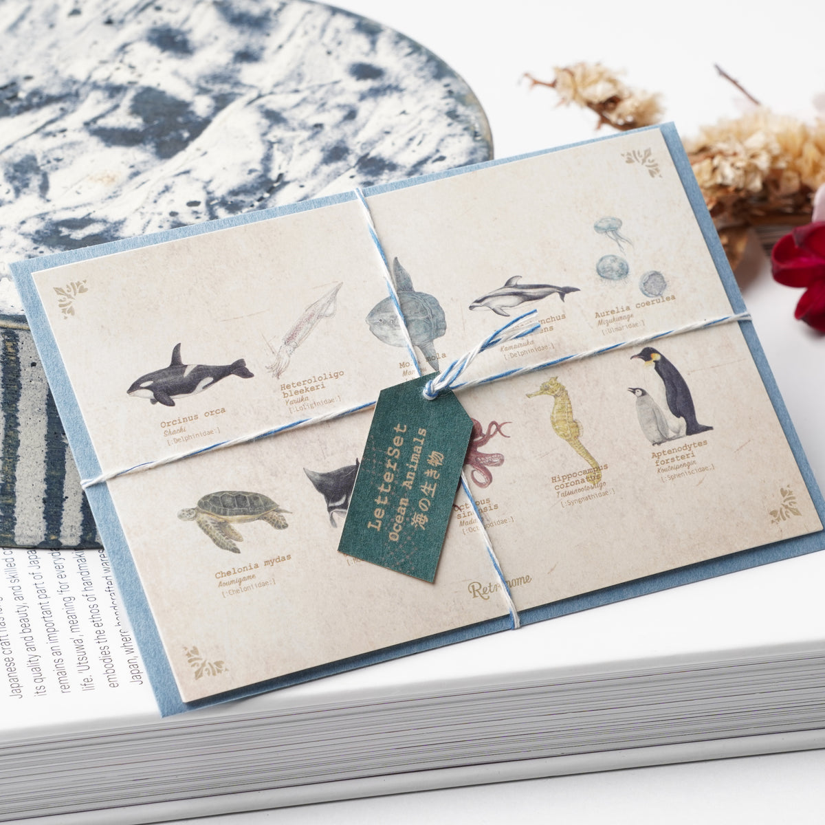 Illustrated Book-Style Letter Set – Sea Life