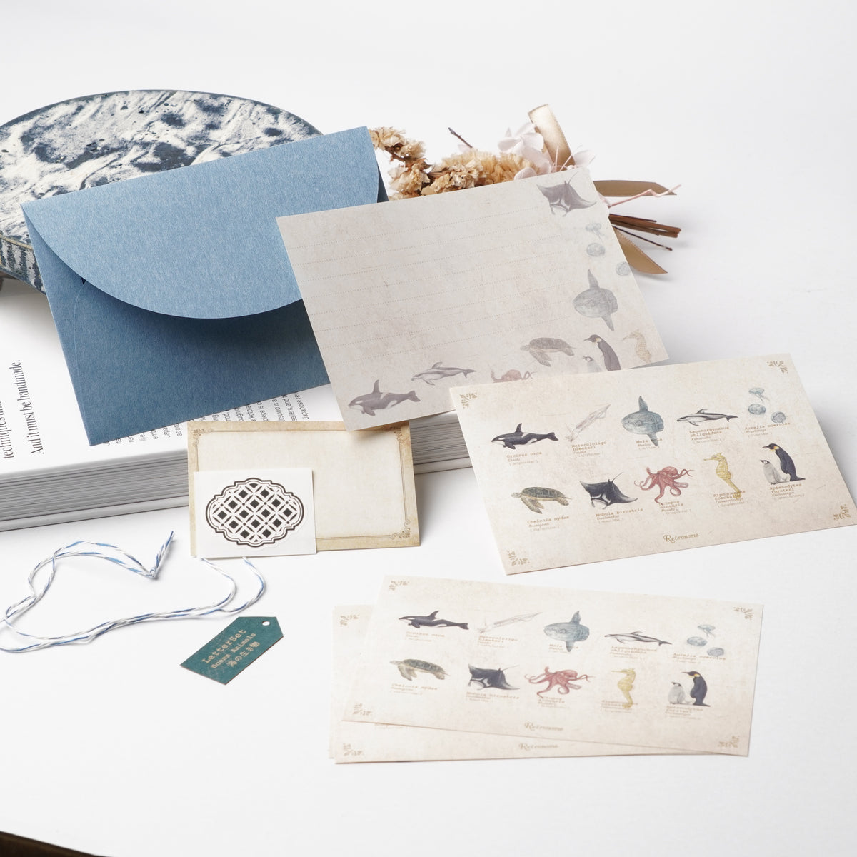 Illustrated Book-Style Letter Set – Sea Life
