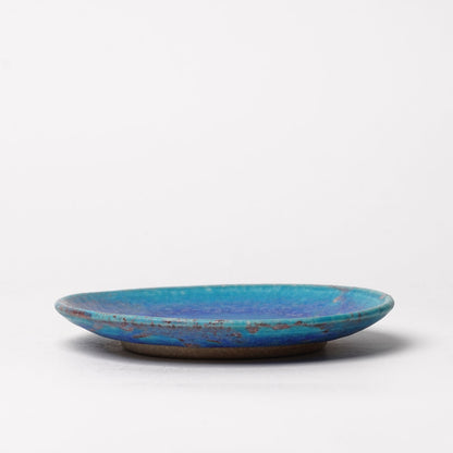 Shigarakiyaki Cup and Saucer (Mug)