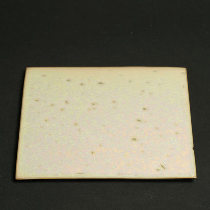 Shota Miyashita Square Plate Albus S